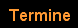 Termine